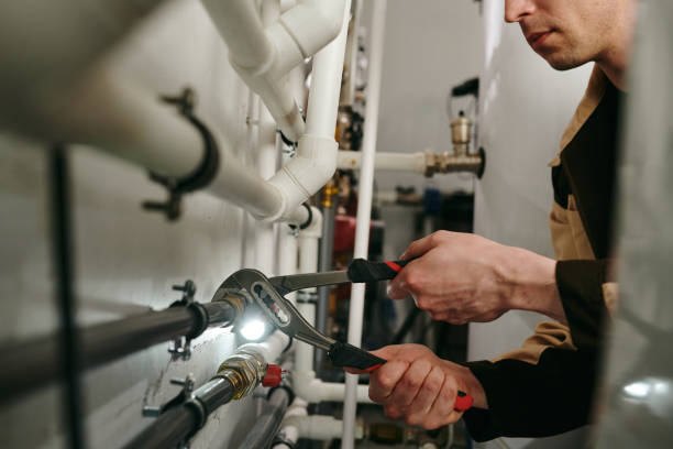 Best Boilers & Radiators  in Forestville, OH