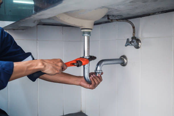 Forestville, OH Plumbing Pros