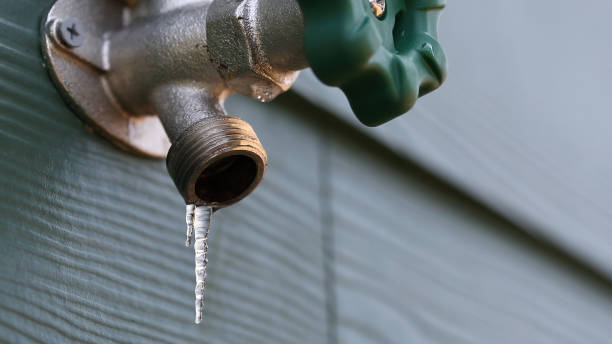 Best Drain Cleaning Services  in Forestville, OH