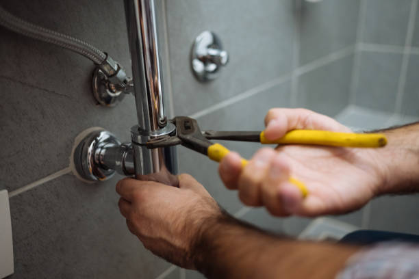 Best Sprinkler Systems  in Forestville, OH
