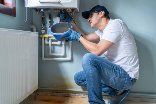 Best Sewer Line Repair  in Forestville, OH